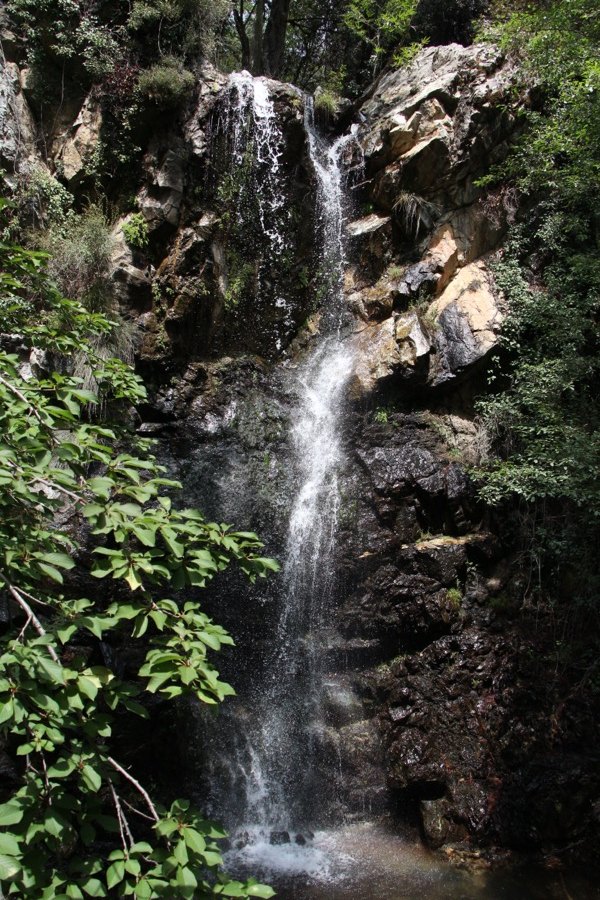 A waterfall falling through green trees in the Troodos mountains