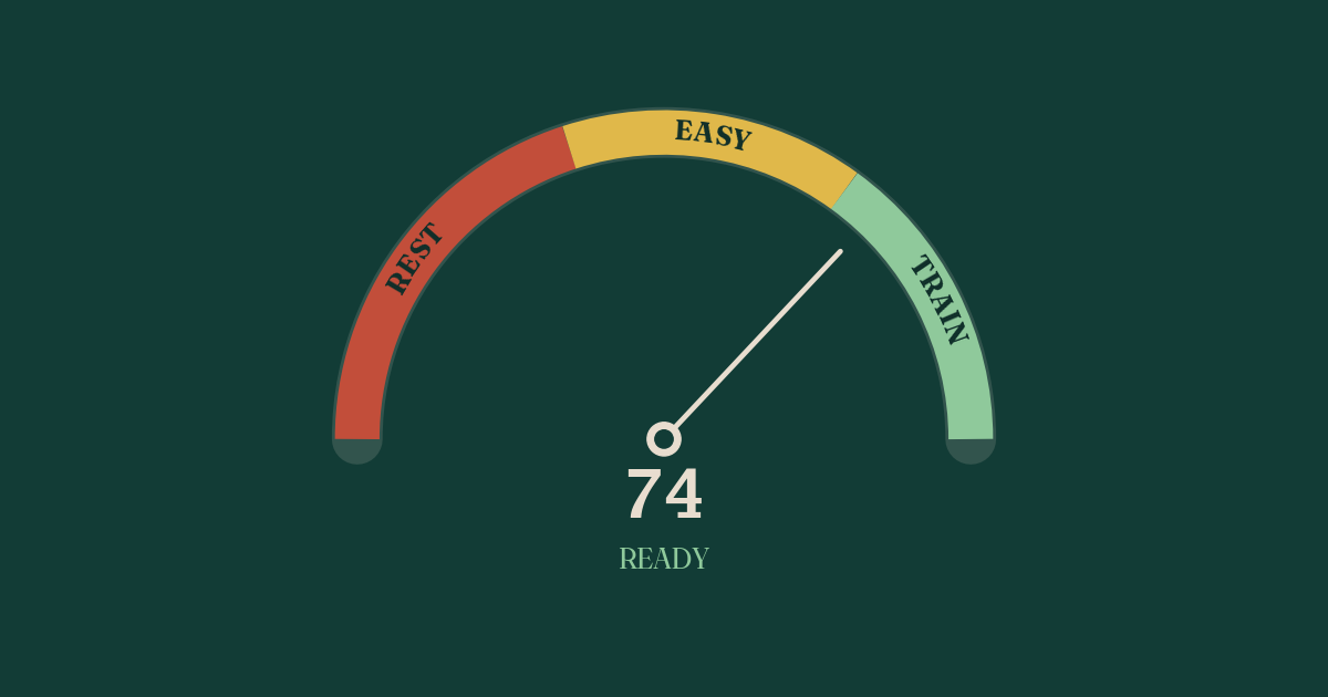 I'm finally getting the most out of my Apple Watch data